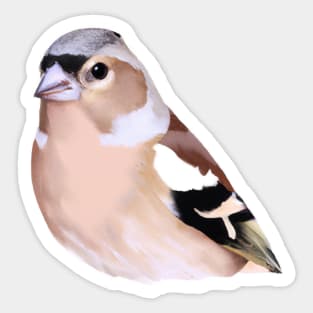 Cute Finch Drawing Sticker